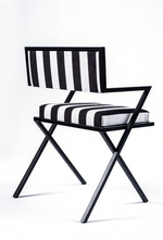 Boxare Zebra